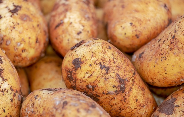 Bebeklere Patates Ne Zaman Verilmeli?