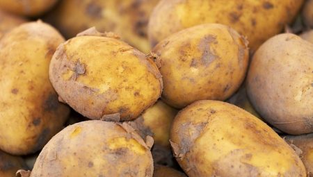 Fırında Baharatlı Patates [Çıtır Tarif]