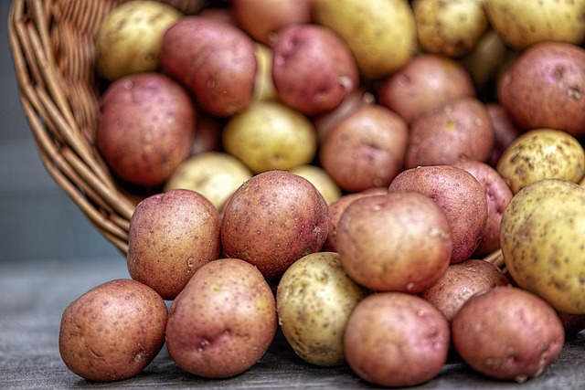 Patates Mantısı Kaç Dakika Haşlanmalı? Patates Mantısı Kaç Dakika Haşlanmalı?