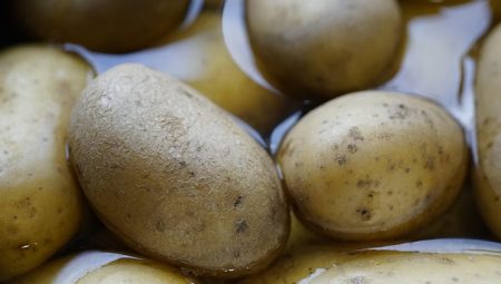 Patates Püresi Neden Topaklanır? [Çözümler]