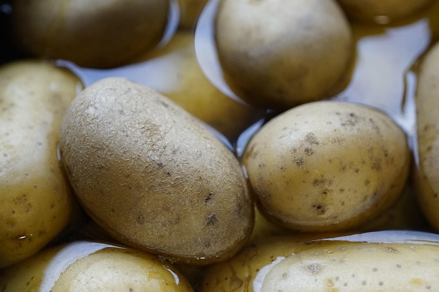 Patates Salatası İçin En İyi Soğanlar Patates Salatası İçin En İyi Soğanlar