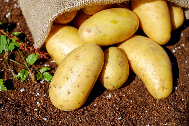 Patates Salatası Kaç Gün Dayanır?
