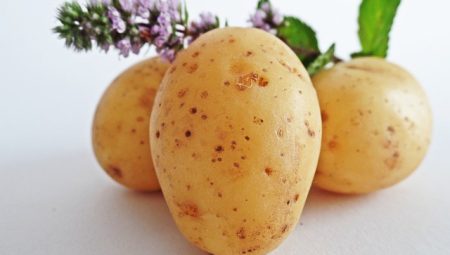 Patatesin Besin Değerleri Nelerdir?