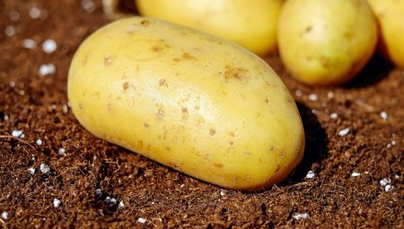 Patatesli Sufle Nasıl Kabarık Yapılır?