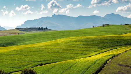 Toprak Hazırlığı ve Ekim Öncesi Yapılması Gerekenler Nelerdir?